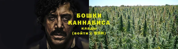 шишки Дмитров