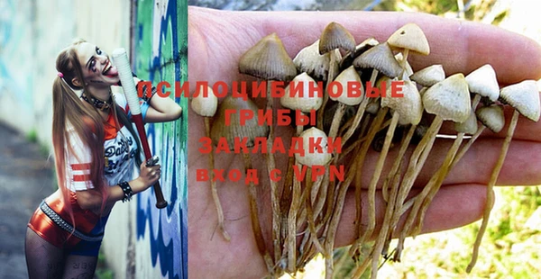 каннабис Гусев