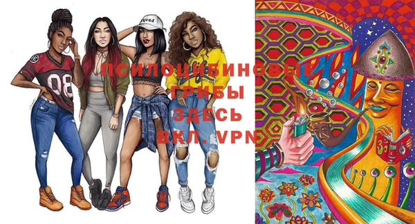 шишки Дмитров