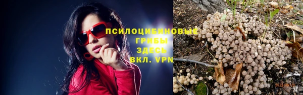 шишки Дмитров