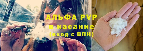 шишки Дмитров