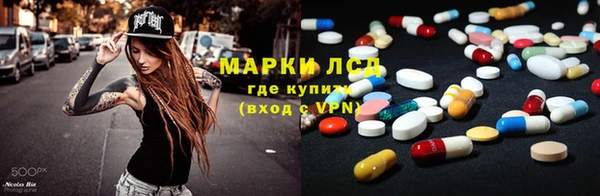 шишки Дмитров